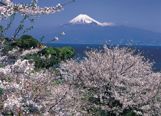 日本旅游专场博览会在北京召开