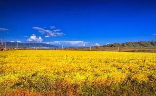2019青海旅游景点大全，值得收藏！
