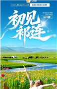 【初见祁连】塔尔寺 青海湖 茶卡盐湖 祁连 门源4日游（尊享2-8人VIP小团）